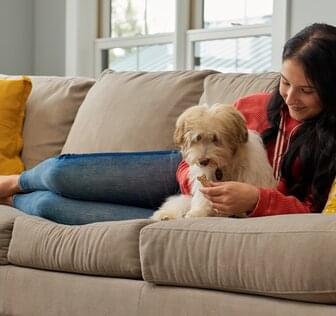 Woman feeding dog a treat
