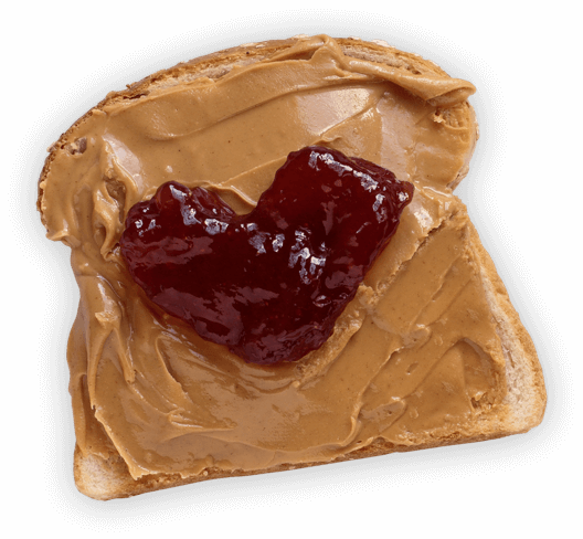 Peanut Butter and Jelly Sandwich 