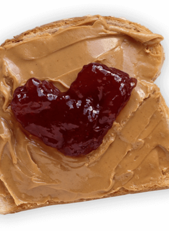 Peanut Butter and Jelly Sandwich 
